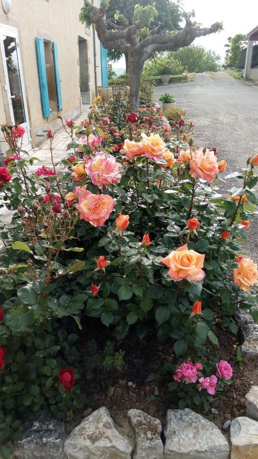 La Vigneronne Bed & Breakfast Villelongue-d'Aude Exterior photo